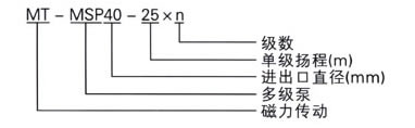 MT-MSP multi-stage magnetic  pump type meaning